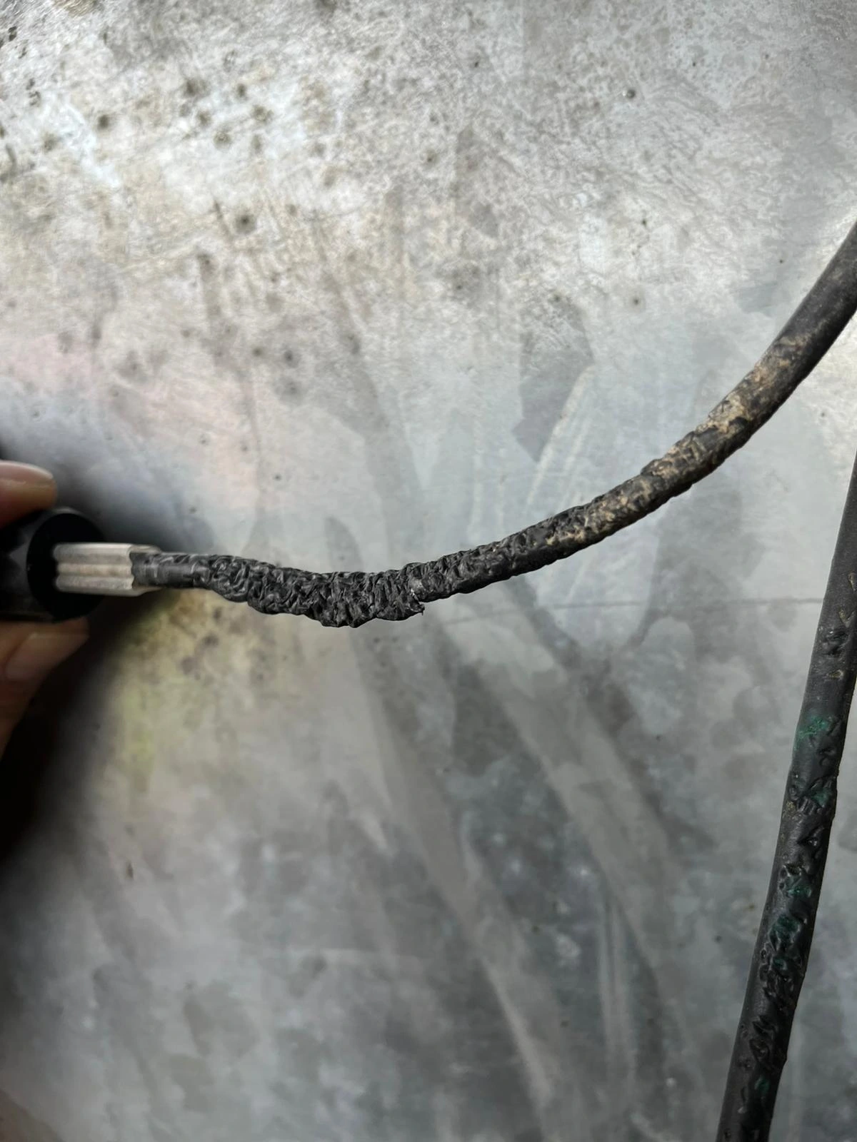 Wartung von Solaranlagen - Defekte Kabel durch Nagerbiss beeinträchtigen die Leistung der Solaranlage