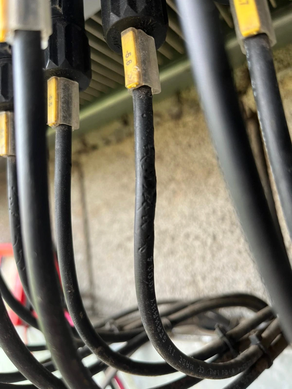 Wartung von Solaranlagen - Nagerbiss an den Leitungen einer Solaranlage beseitigen